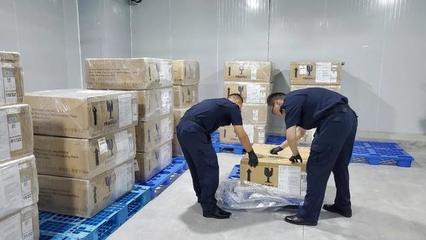 廣西毛燕進口創歷史新高，區域貿易結構持續優化